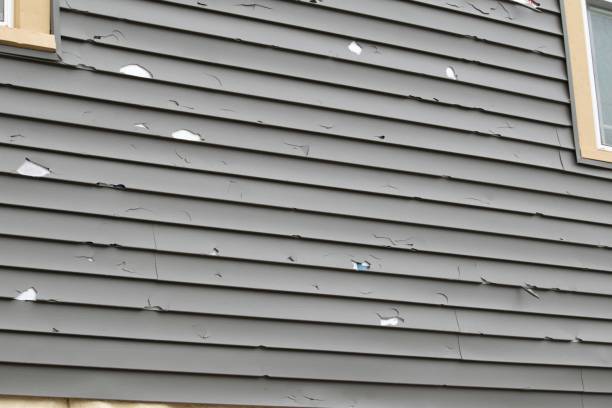 Professional Siding Installation in Bethalto, IL